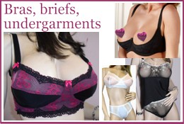 Bras briefs undergarments lingerie